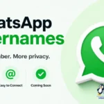 WhatsApp username reservation feature displayed inside the app settings.